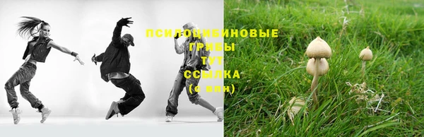 mix Верея