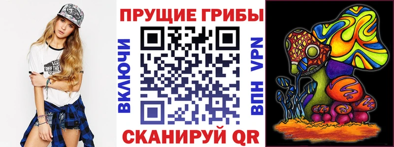Галлюциногенные грибы Psilocybine cubensis  Купить где  Кудрово 